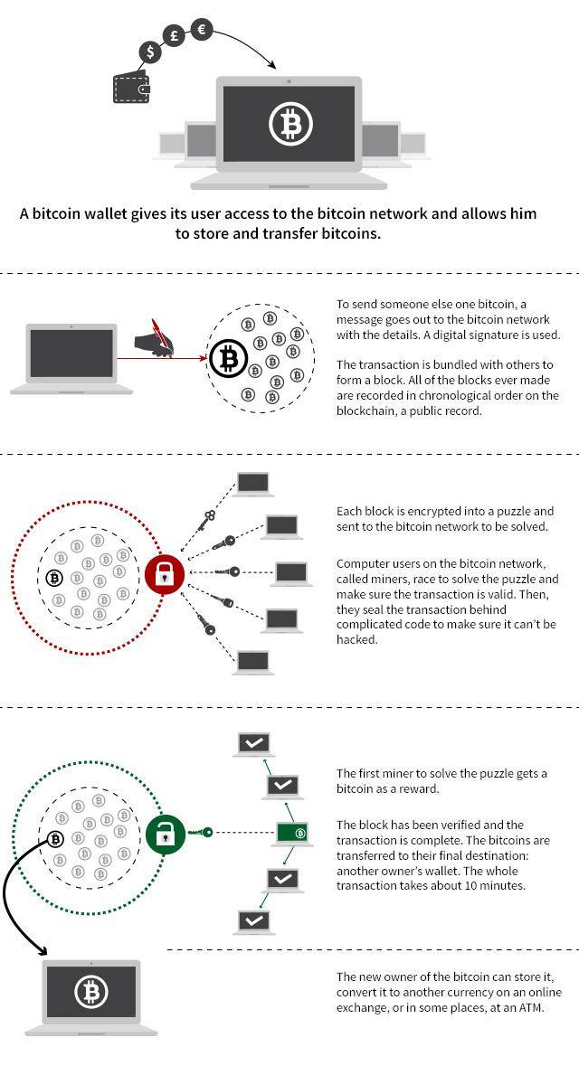 ethereum ou bitcoin cash