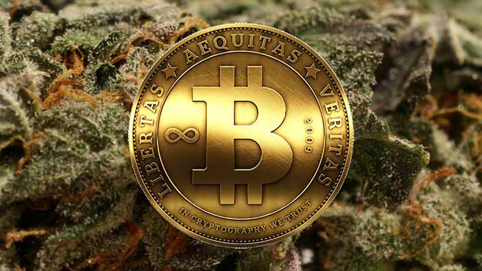 ethereum zcash dual mining 
